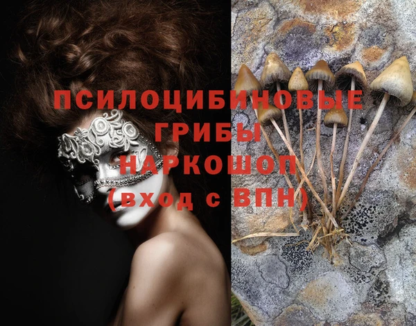 дурь Вяземский
