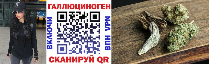 Купить закладки Кудрово Галлюциногенные грибы GOLDEN TEACHER